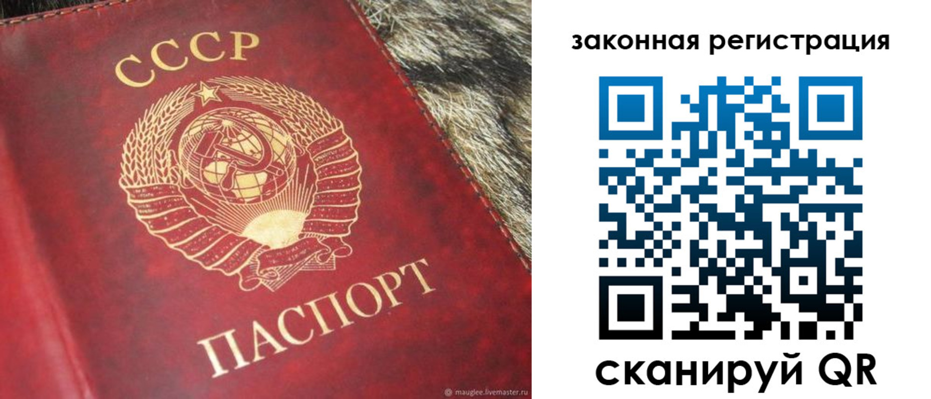 прописка от собственника в Белокурихе